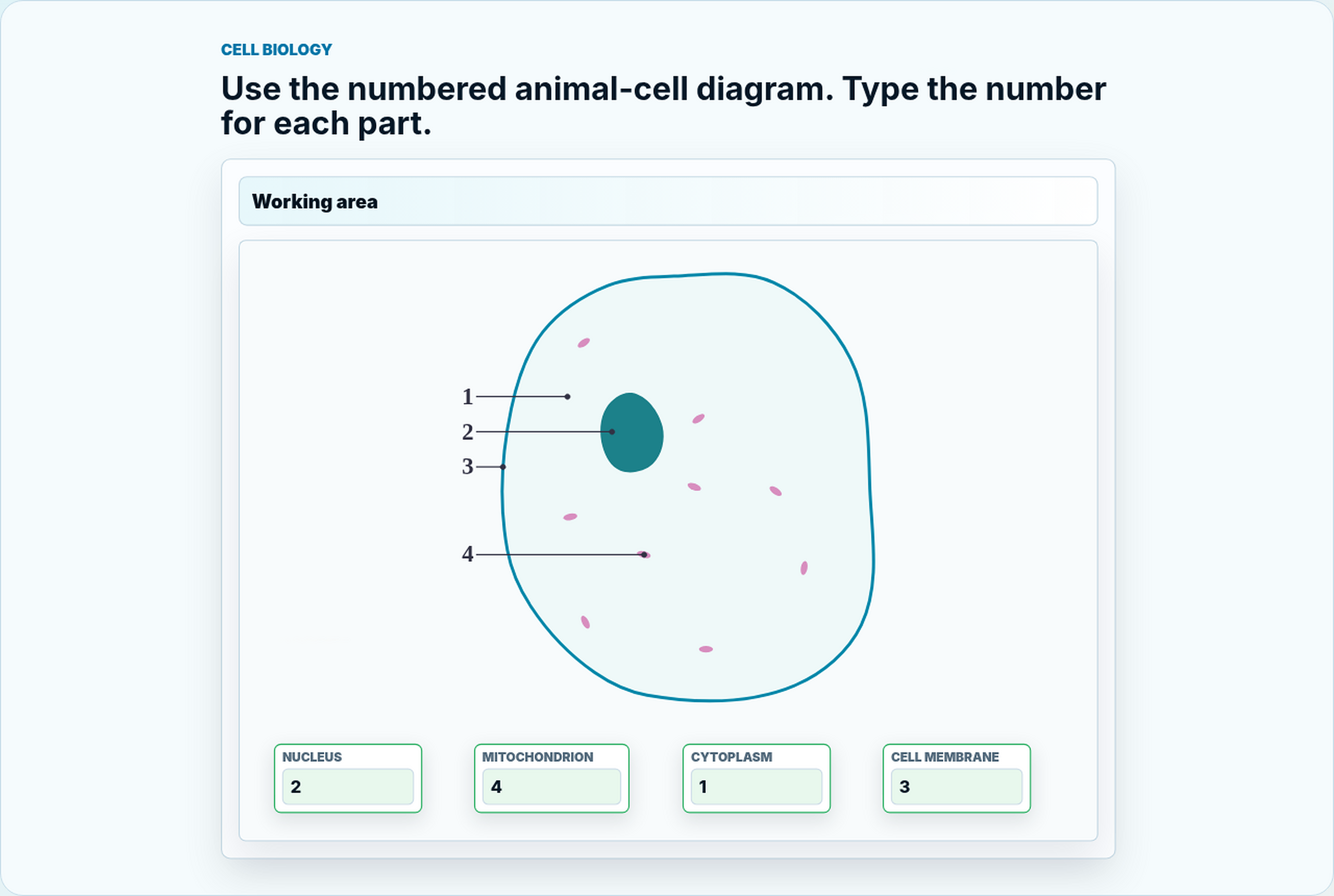 Real KC Teach interactive cell biology question preview